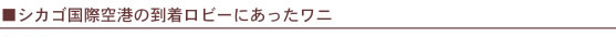 歯列矯正に関することならグランツ矯正専門歯科
大阪市天王寺区上本町6-2-26 大和上六ビル3F